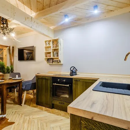 Apartamenty Willa Olsza Wood House & Mountain View & Sauna Apartment Zakopane