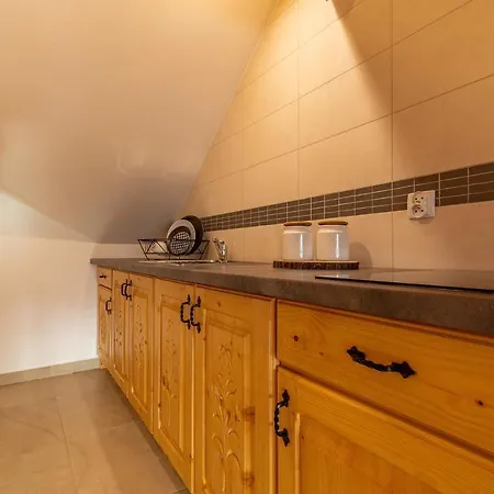 Apartment Apartamenty Willa Olsza Wood House & Mountain View & Sauna Zakopane