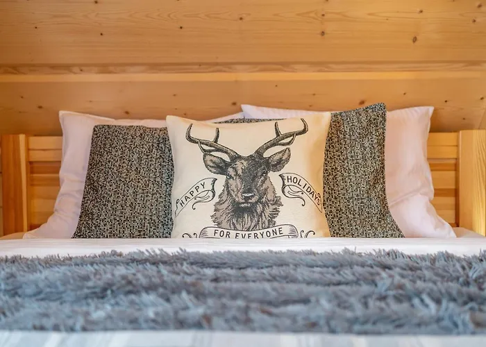 Olsza Wood House & Mountain View & Sauna *