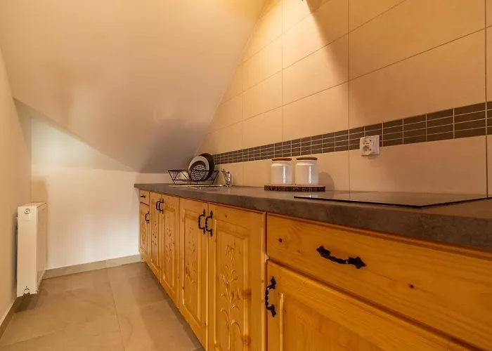 Lejlighed Olsza Wood House & Mountain View & Sauna Zakopane